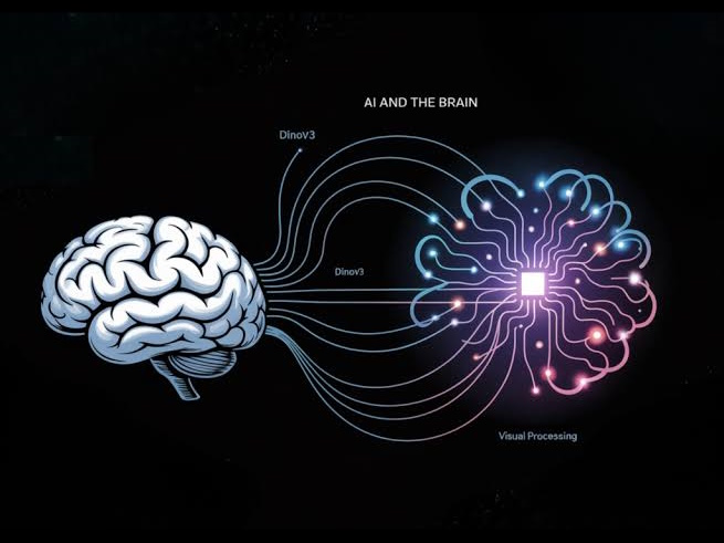 Why the World is Hungry for Hivegate’s Innovation